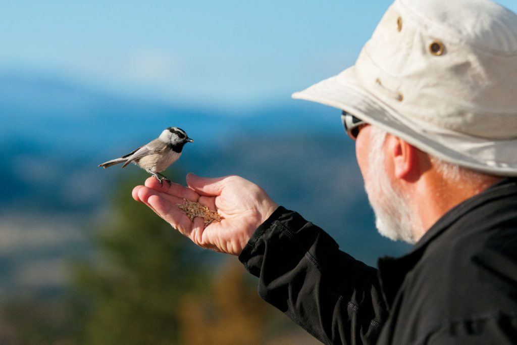 Wild Birds Unlimited franchisee holds bird in hand