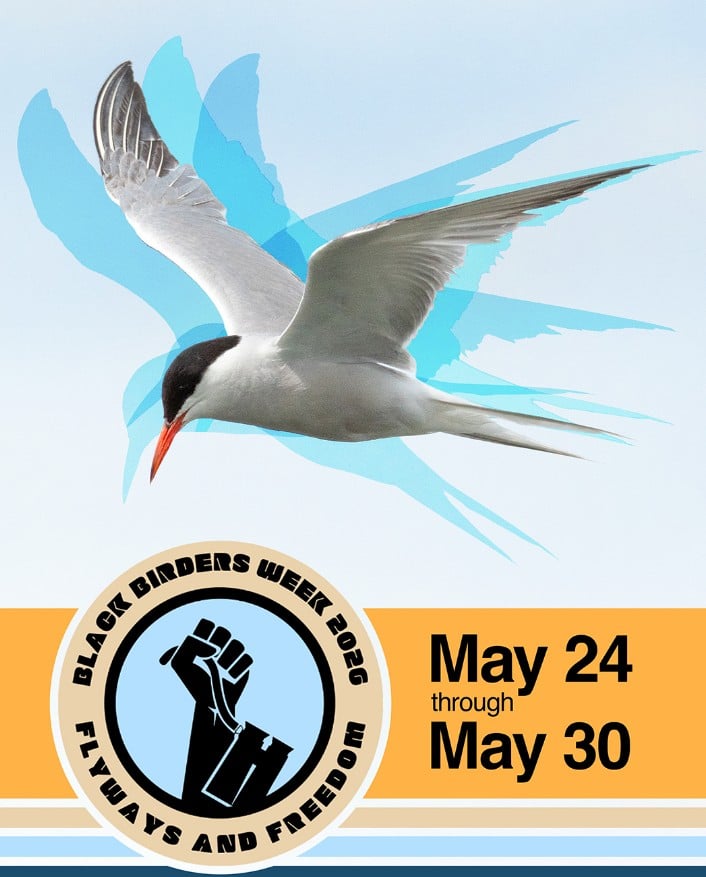Black Birders’ Week!